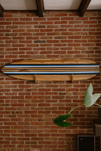 Tidez Bluebird 160cm